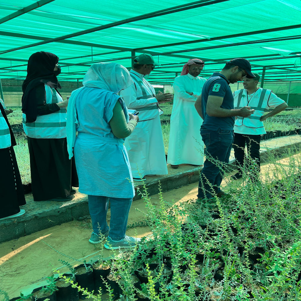 إدارة المراعي