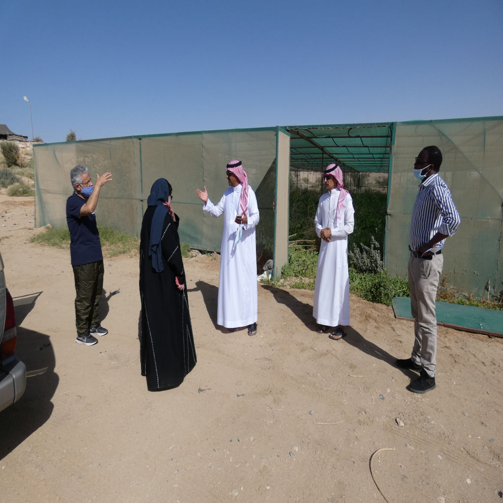 تطوير المتنزهات الوطنية